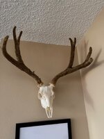 IMG_0450.jpeg