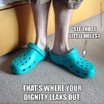 See Those Little Holes_.jpg