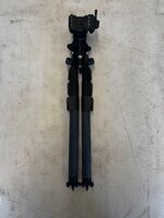 IMG_3916.jpeg