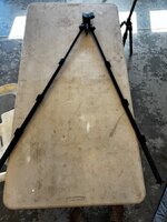 IMG_3921.jpeg