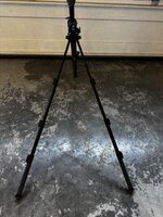 IMG_3922.jpeg