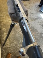 IMG_3931.jpeg