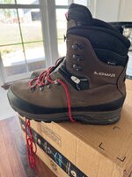 IMG_8723.jpeg