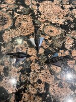 IMG_7952.jpeg