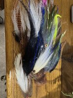 IMG_1076.jpeg