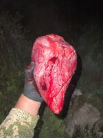 IMG_2945.jpeg
