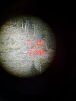 IMG_0060.jpeg