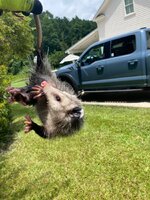 IMG_3688.jpeg