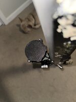 IMG_7940.jpeg
