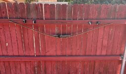 IMG_5338.jpeg