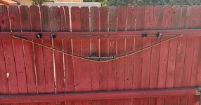 IMG_5339.jpeg