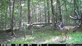 IMG_4569.jpeg