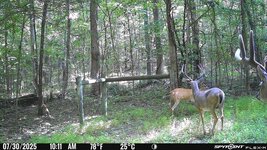 IMG_4570.jpeg