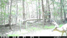 IMG_4572.jpeg