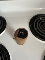 IMG_3233.jpeg