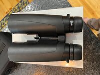 IMG_6523.jpeg