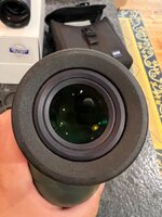 IMG_6515.jpeg