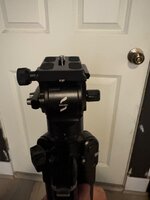 IMG_1117.jpeg