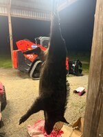 IMG_4324.jpeg