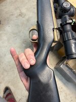 IMG_1095.jpeg