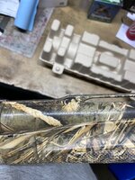 IMG_2497.jpeg