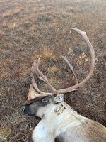 IMG_1162.jpeg
