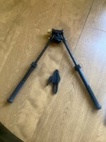 IMG_4420.jpeg