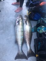 IMG_3872.jpeg