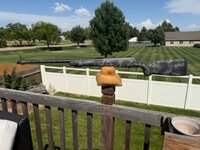 IMG_3433.jpeg