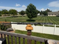IMG_3434.jpeg
