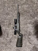 IMG_9136.jpeg