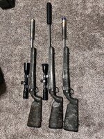 IMG_9139.jpeg