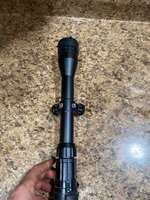IMG_3905.jpeg
