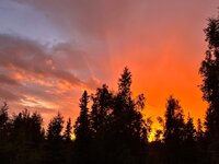 IMG_3235.jpeg