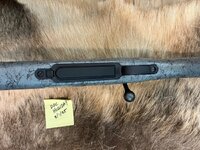 IMG_8042.jpeg