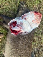 IMG_4404.jpeg