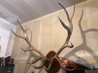 IMG_8091.jpeg