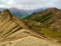 Sheep country.Alaska.JPG