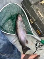 IMG_3209.jpeg