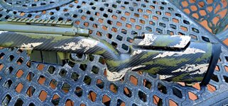 20250712_082842.jpg
