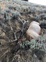 IMG_0131.jpeg