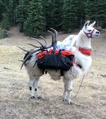 IMG_0071.jpeg