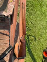 IMG_7300.jpeg