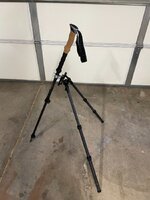 IMG_2317.jpeg