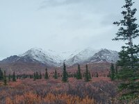 20230920_122504.jpg