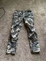IMG_3454.jpeg