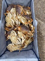 IMG_6255.jpeg