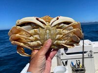 IMG_6296.jpeg