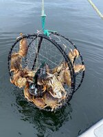 IMG_6232.jpeg