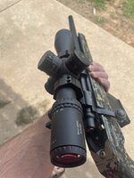 IMG_3730.jpeg IMG_3730.jpeg